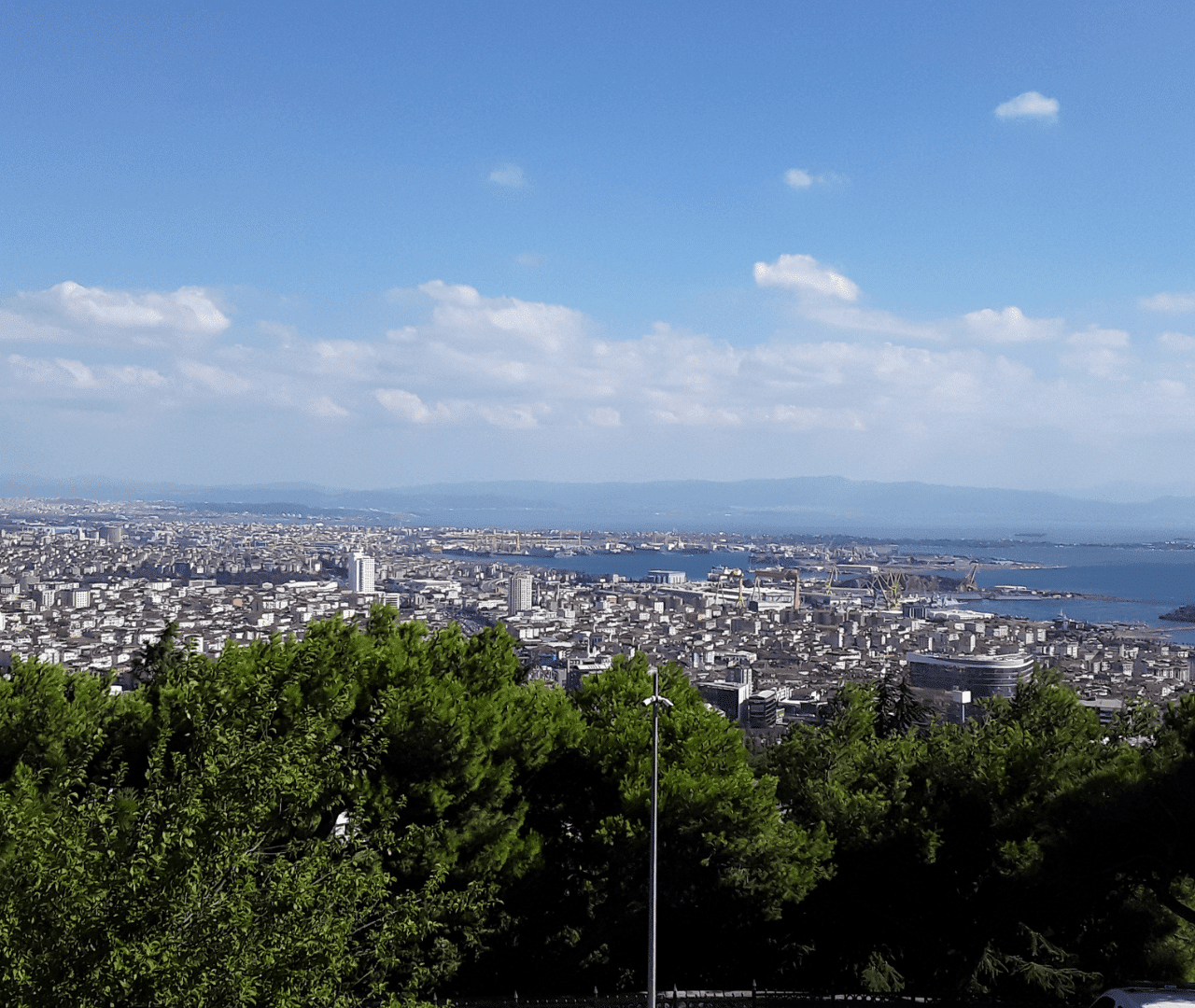 pendik kurtaj